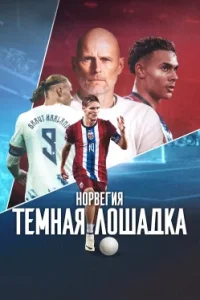 Норвегия: Темная лошадка